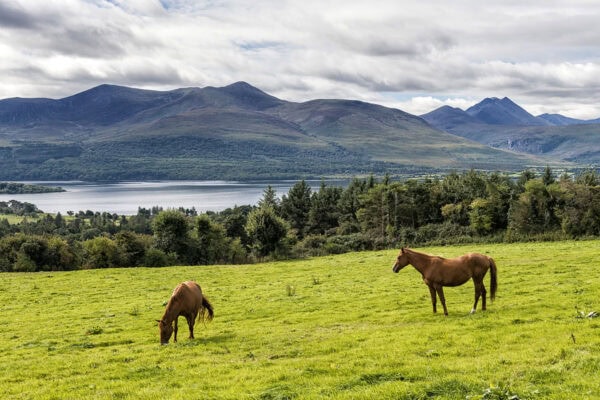 Aghadoe Heights