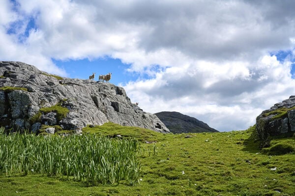 Isle of Barra