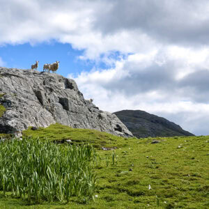 Isle of Barra