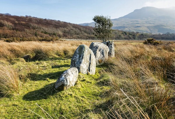 Annagh-Killadangan Stone Rows