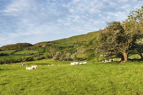 Antrim Coast