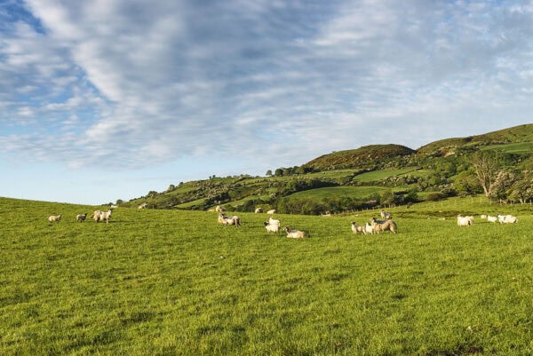Antrim Coast