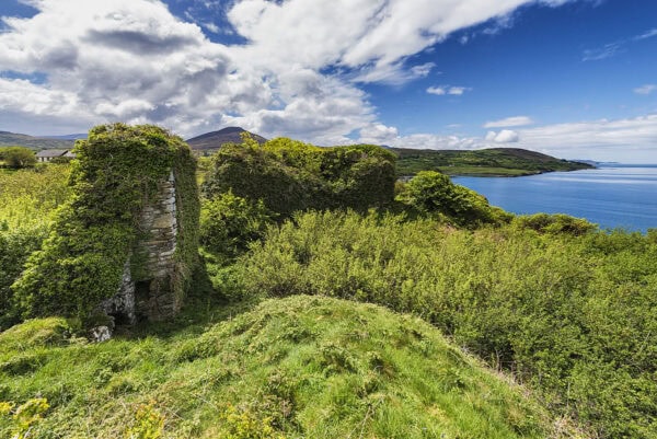 Ardea Castle