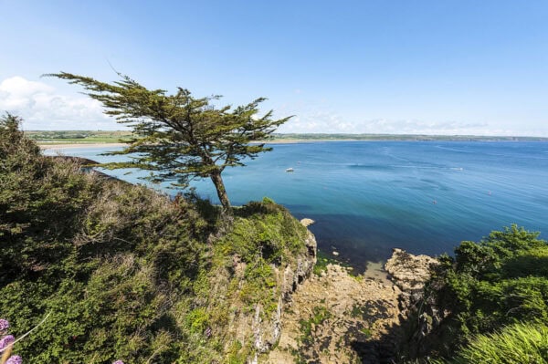 Ardmore Cliff Walk