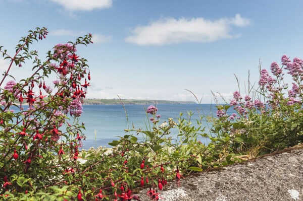Ardmore Cliff Walk