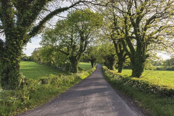 Ards Peninsula