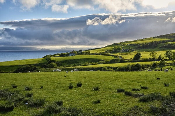 Arran