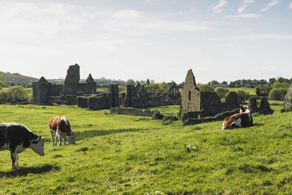 Athassel Priory