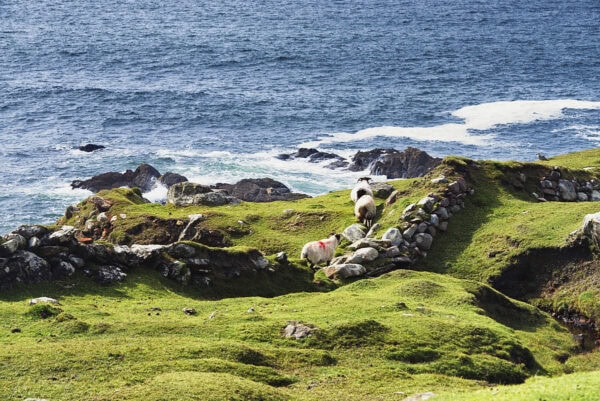 Atlantic Drive
