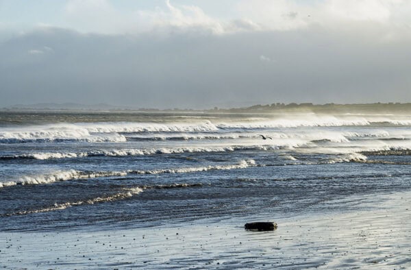 Balcarrick Beach