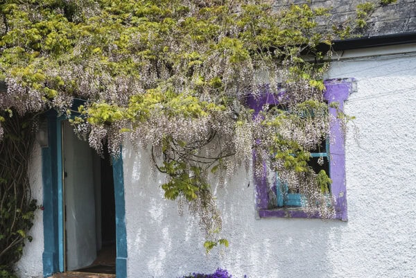 Cotage in Ballinaclashett