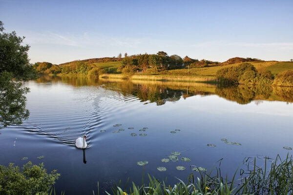 Ballyally Lough