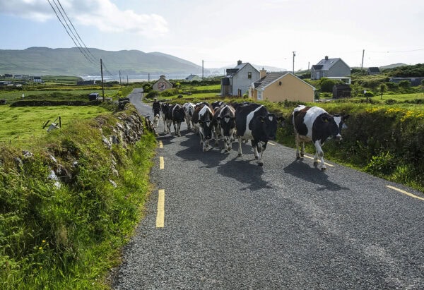 Ballydonegan