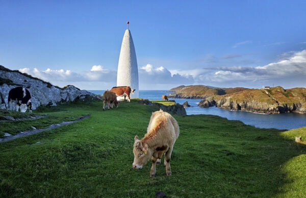 Baltimore Beacon