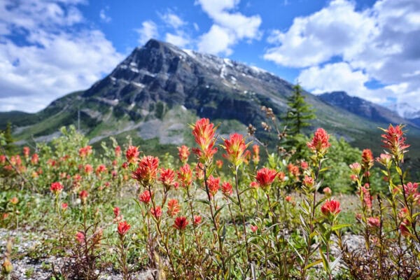 Banff National Park