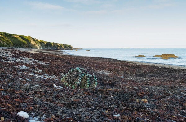 Bannow Bay
