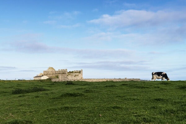 Bannow Church
