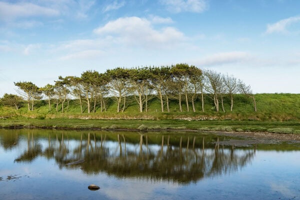 Bannow Island