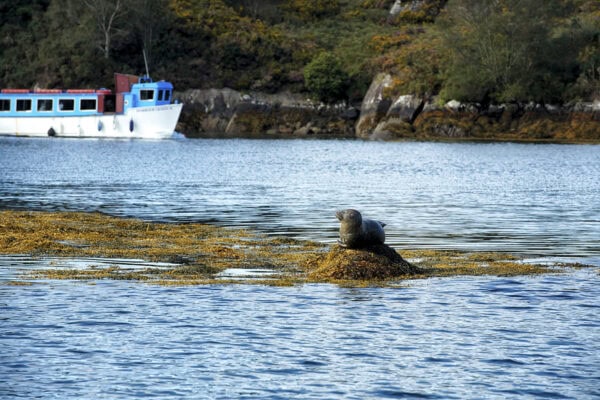 Bantry Bay