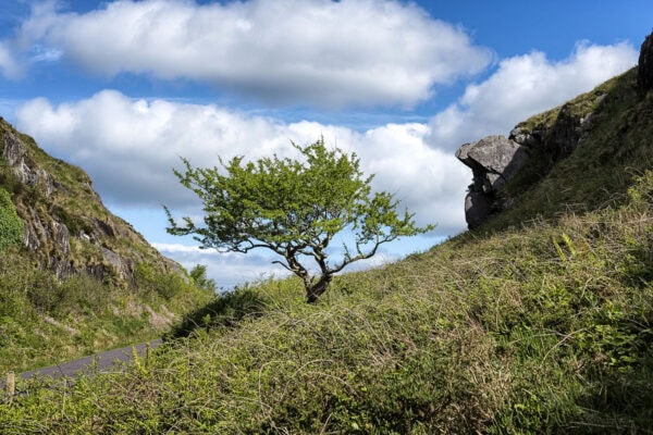 Barnancleeve Gap