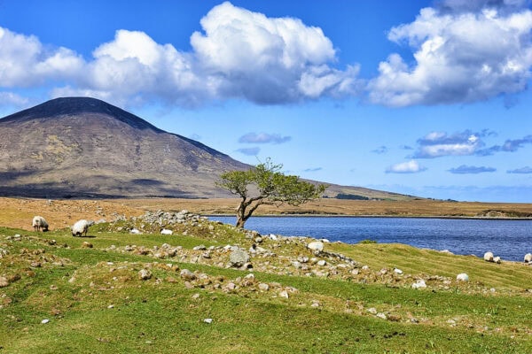 Bellacragher Bay