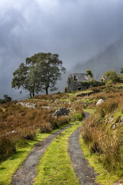 Black Valley