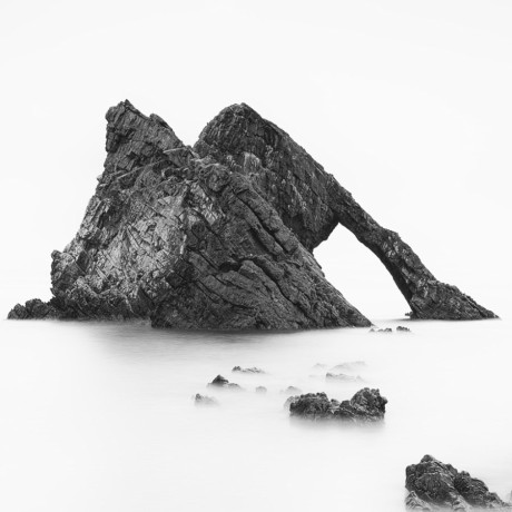 Black & White Photos