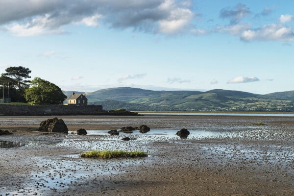 Blackrock