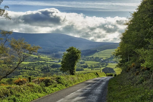 Blackstairs Mountains