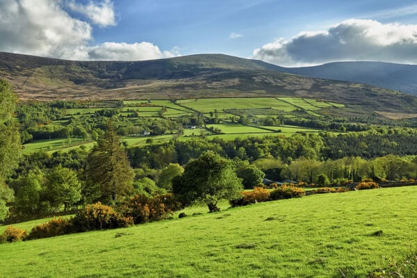 Blackstairs Mountains