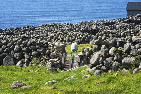 Bloody Foreland