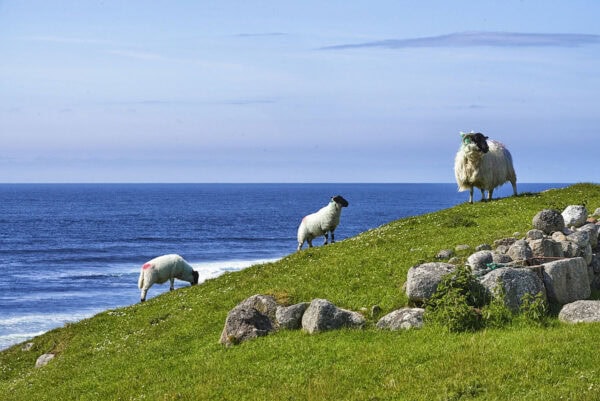 Bloody Foreland