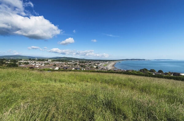 Bray