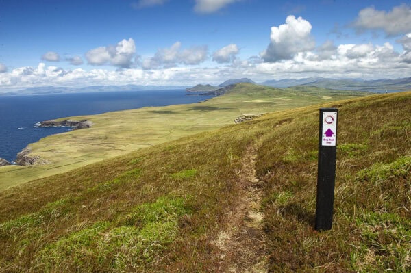 Bray Head Loop Walk