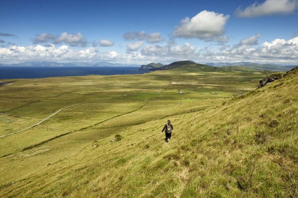 Bray Head Loop Walk