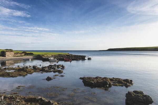 Brown's Bay
