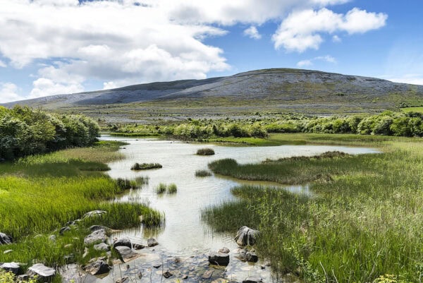 Burren