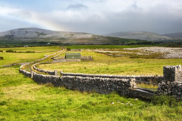 Burren