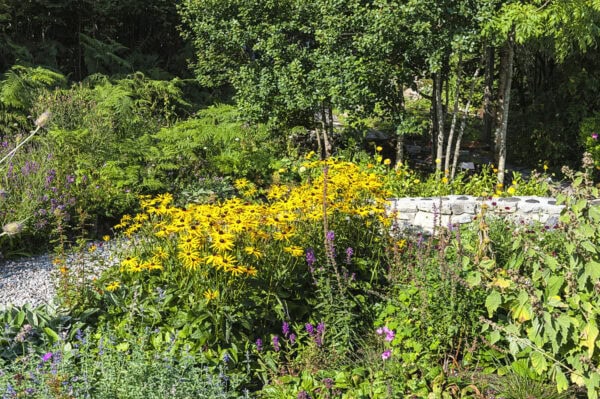 Burren Perfumery