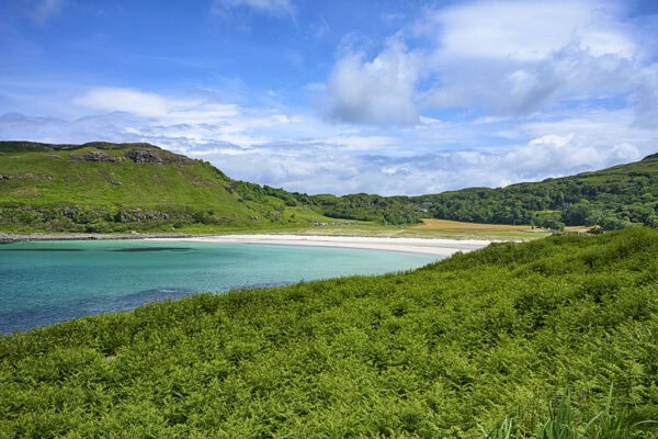 Calgary Bay