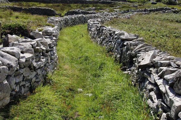 Cape Clear