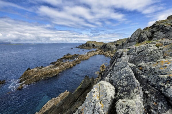 Cape Clear