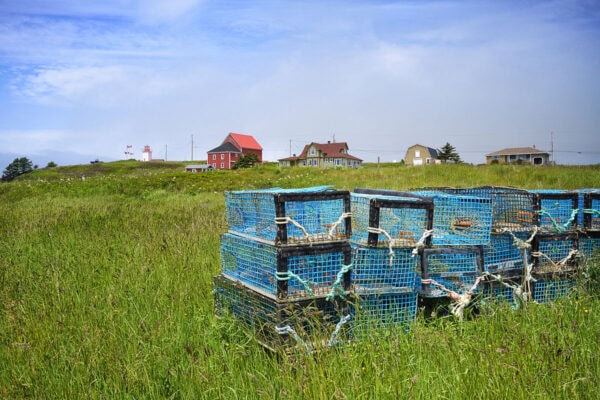 Cape Saint Marys