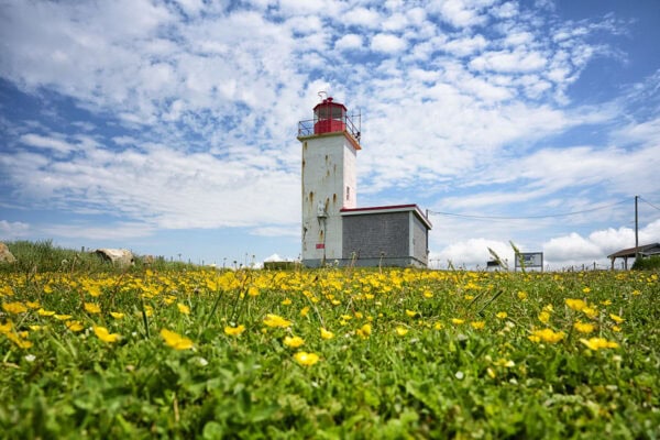 Cape St. Mary's Lighthouse