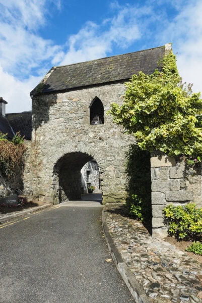 The Thosel Carlingford