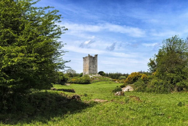 Carrigaphooca Castle