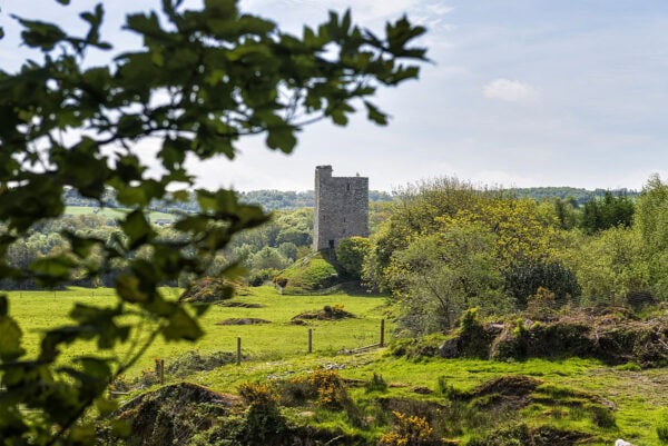 Carrigaphooca Castle
