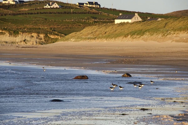 Carrowmore Beach