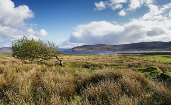 Carrowmore Lake