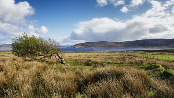 Carrowmore Lake